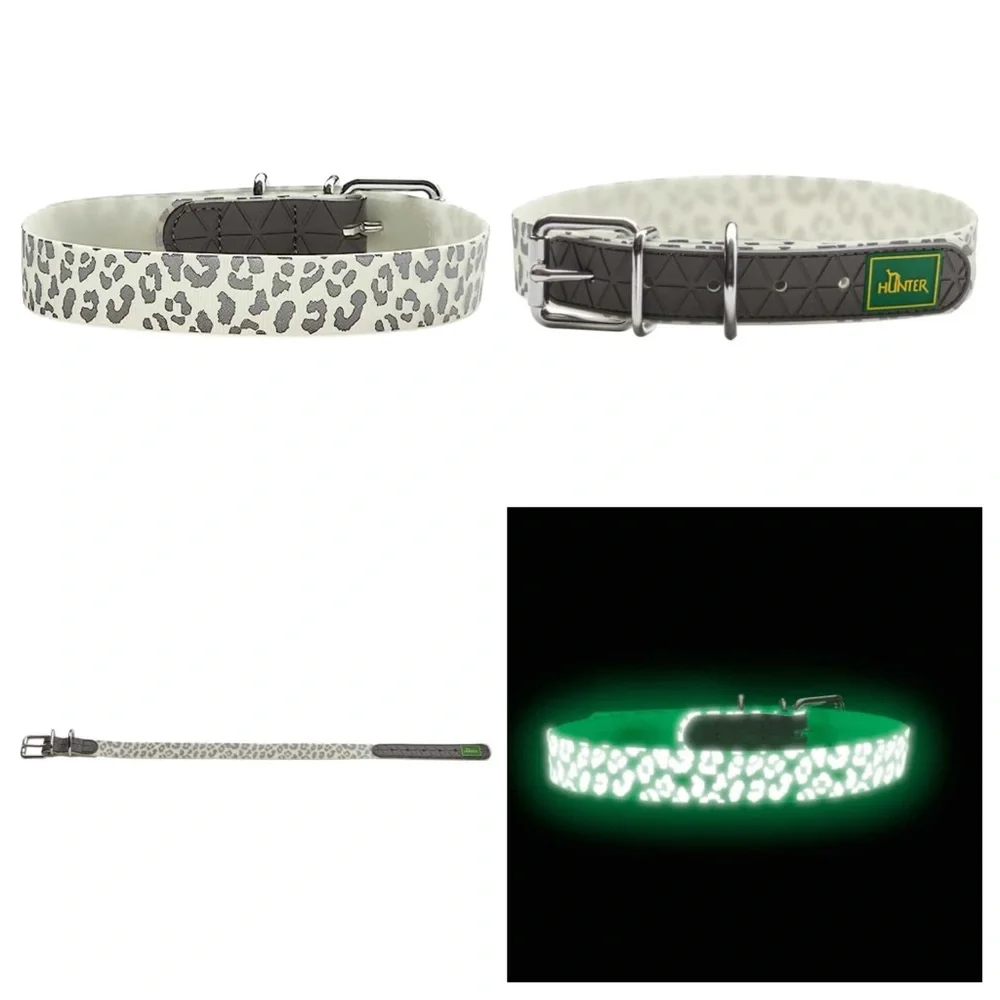 Hunter Convenience Reflect & Glow Dog Collar